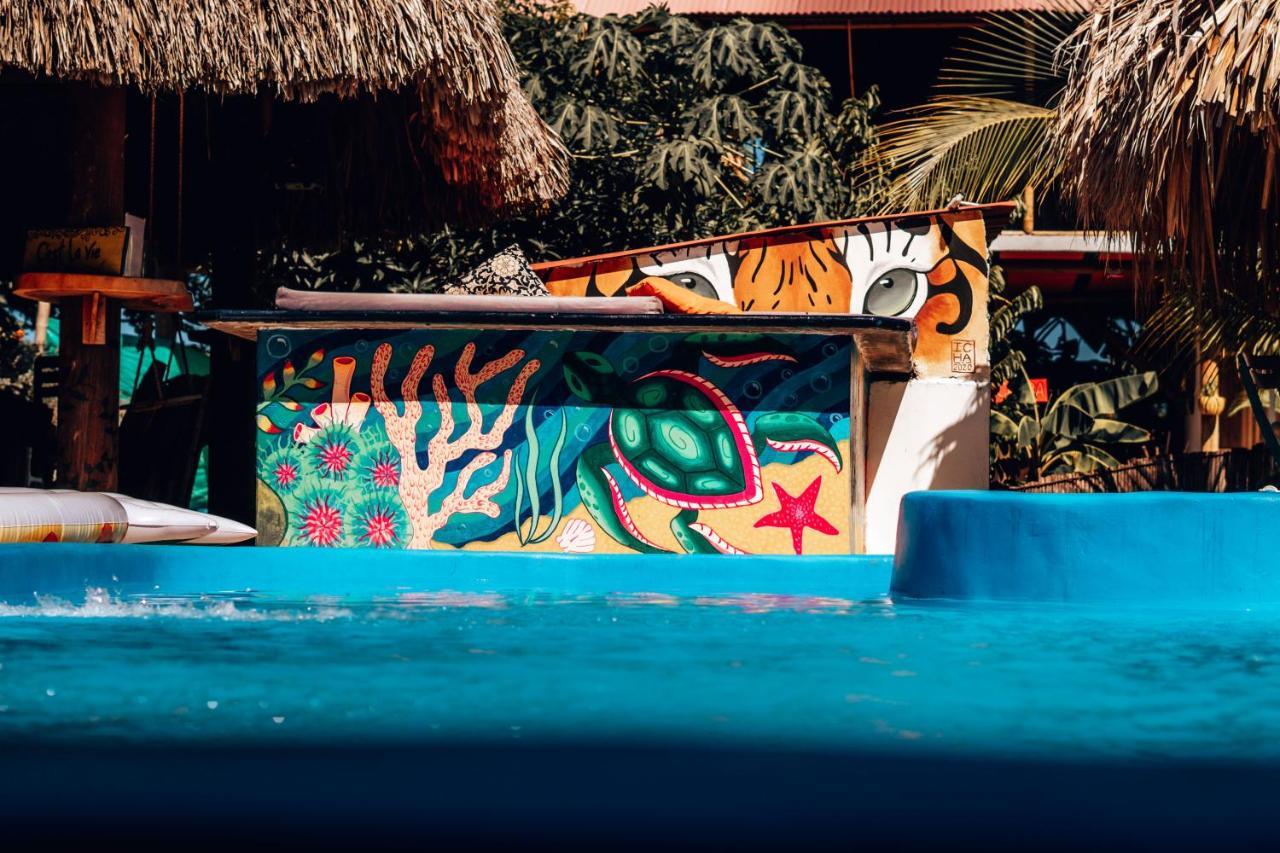El Zoo Hostel, Bar & Pool Palomino Exterior foto